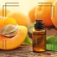 Close-up of apricot kernel oil in a small glass bottle with apricot kernels and a fresh apricot fruit, illustrating lightweight hydration benefits for skin.