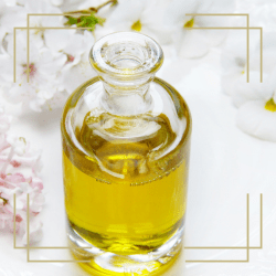 Picture of herbal body oils for healthy skin Generation Soaps