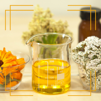 picture of oils that are used in skincare showing calendula plant