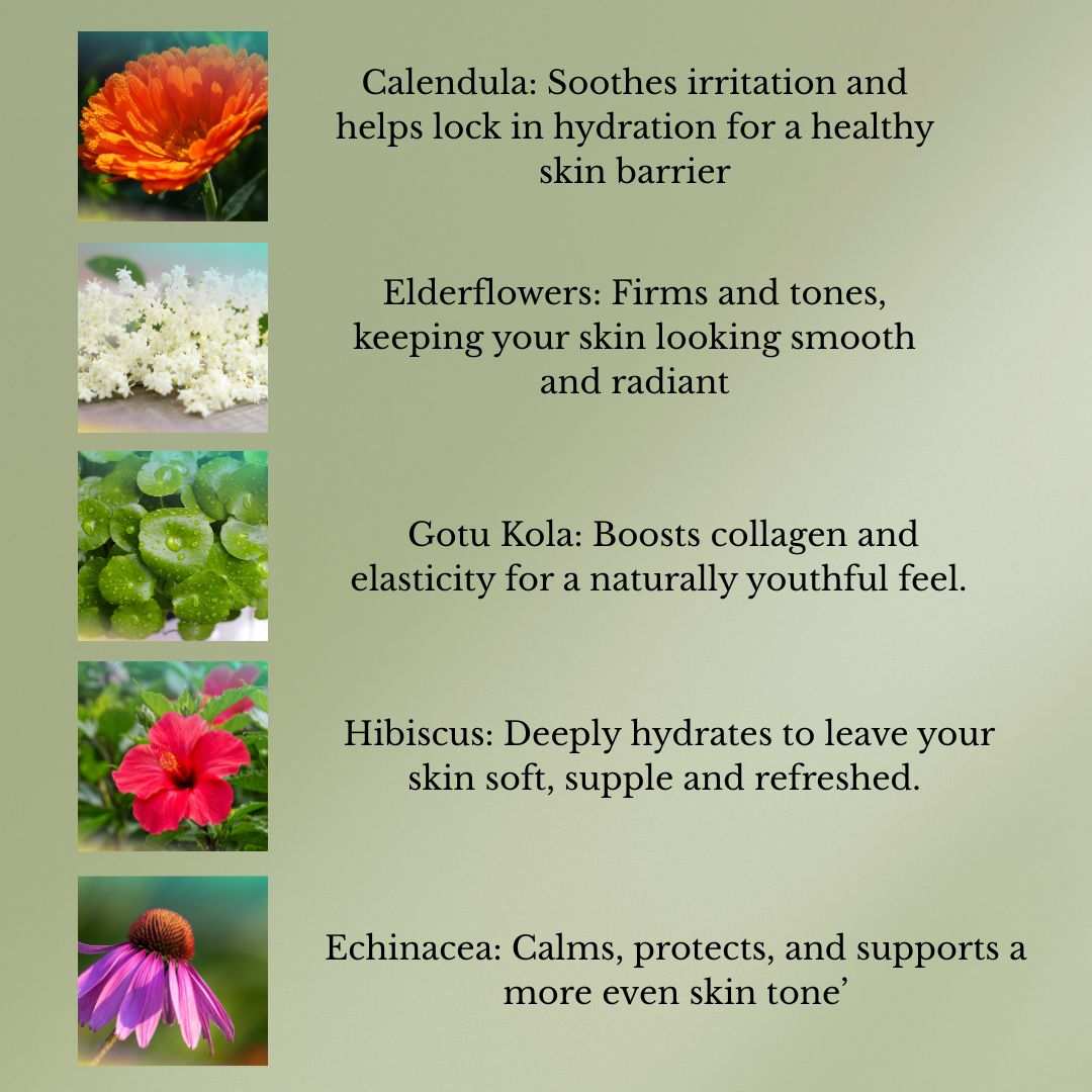 Herbal Harmony Facial Crème jar with natural herbal ingredients for soothing, gentle, and restorative skincare