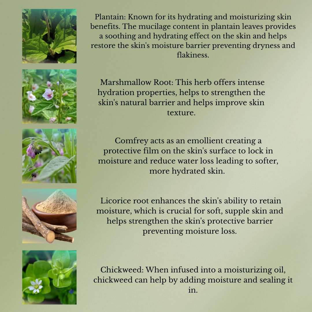 Herbal Dew moisturizing facial oil bottle with natural ingredients for soft and nourished skin