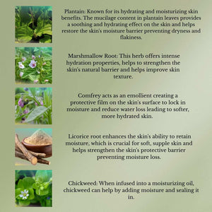Herbal Dew Moisturizing Facial Oil bottle with natural herbal ingredients for softening, nourishing, and moisturizing skin
